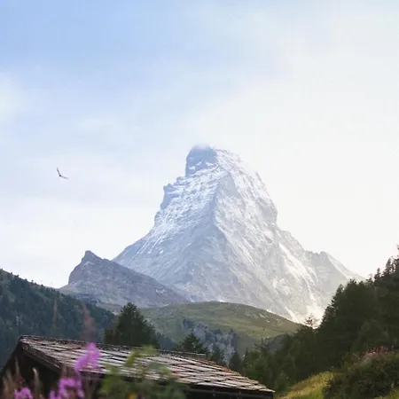 Escape - Stylish & - Steps To Matterhorn Gondola